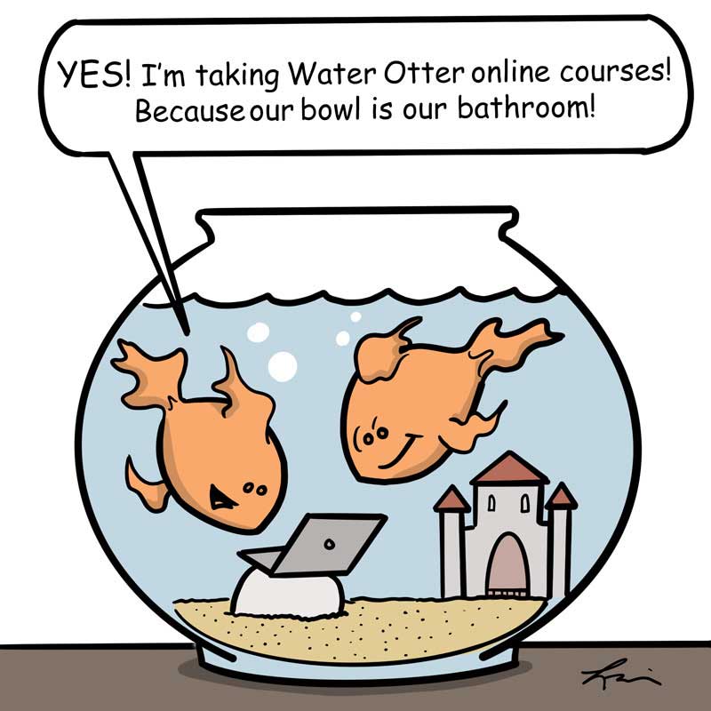 Water Otter Online Training